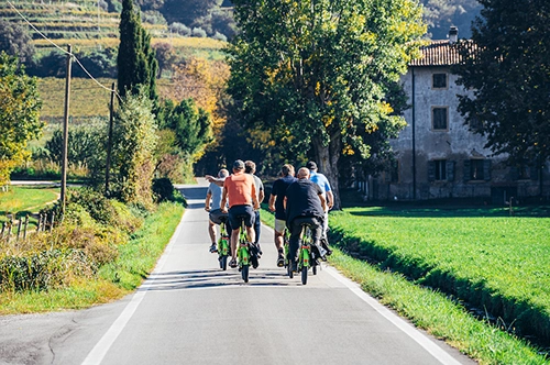 Geführte Tour mit dem E-Bike auf den Amarone Hügeln - Abfahrt von Verona