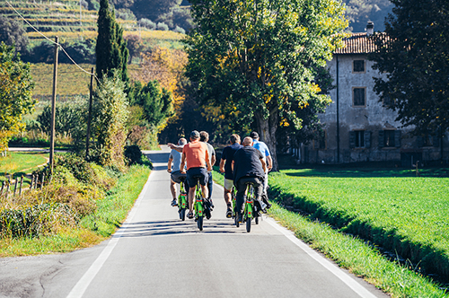Tour Guidato in E-Bike sulle Colline dell'Amarone - Partenza da Verona